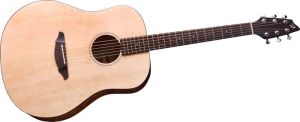 breedlove d200